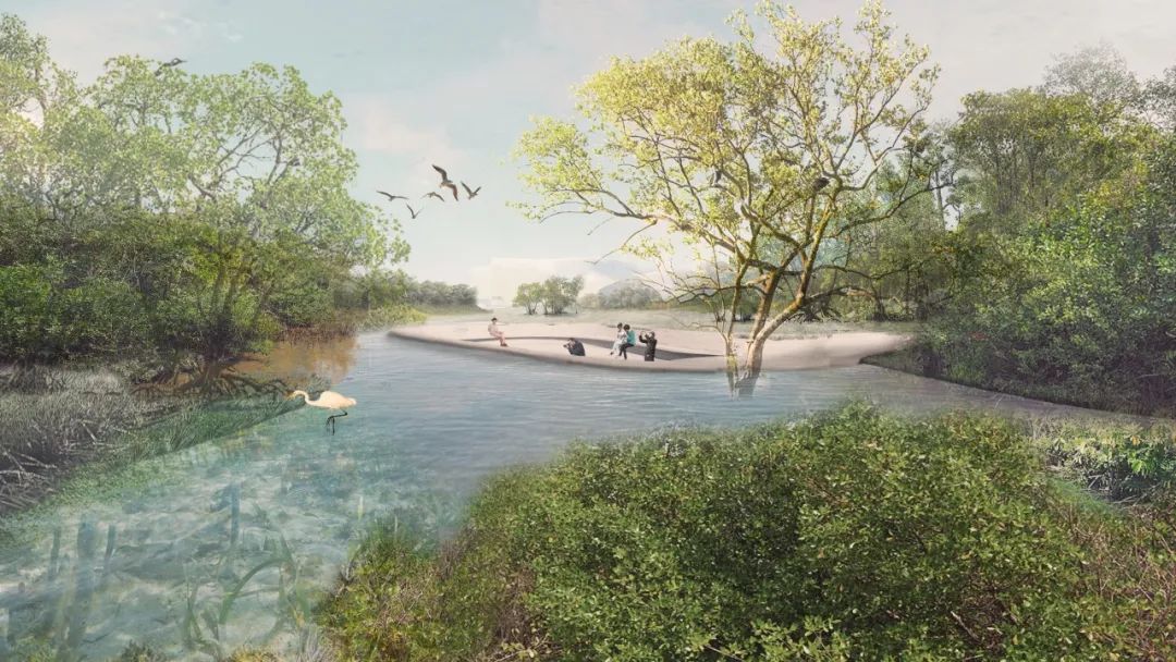 深圳红树林湿地博物馆丨中国深圳丨URBANUS都市实践+中国城市建设研究院无界景观工作室-50