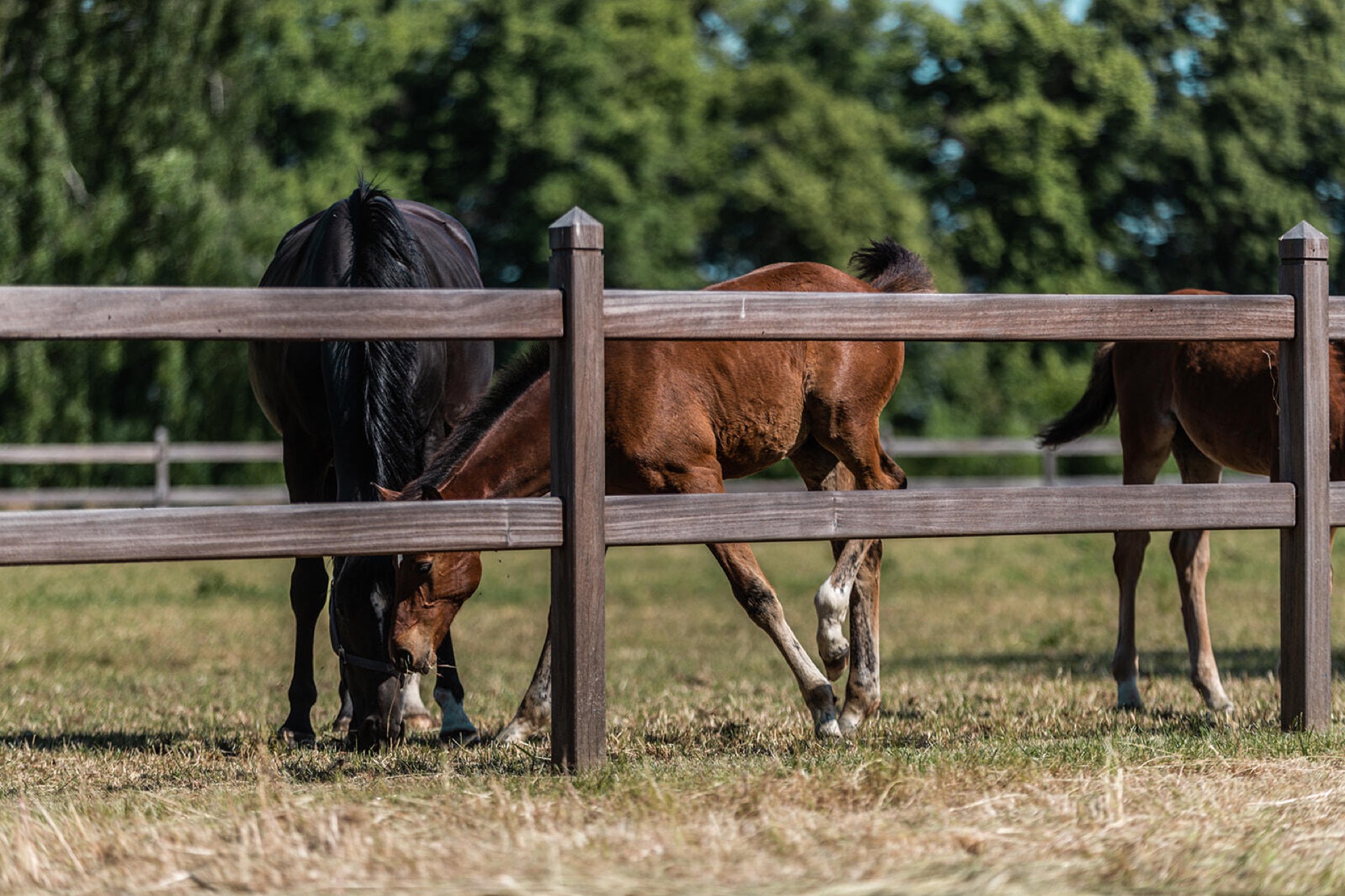 Hoeve met landschapstuin-8