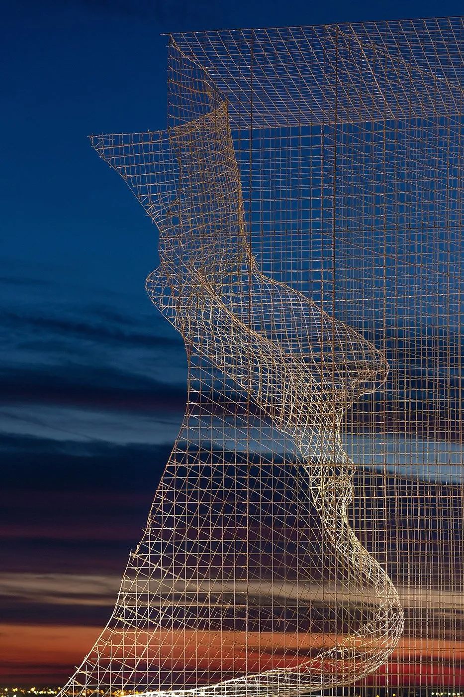 骶骨的；骶部的丨意大利丨Edoardo Tresoldi-124