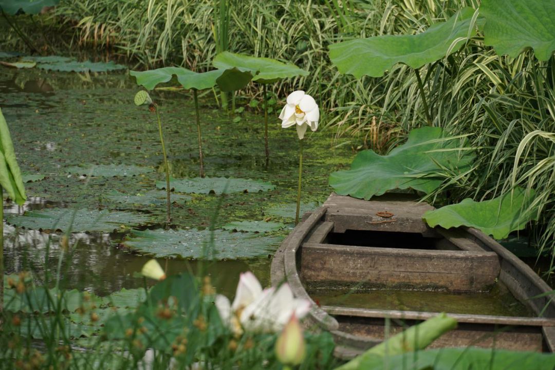 上海吴房村乡村振兴示范村整体规划,建筑,景观,风貌提升设计丨中国上海-180