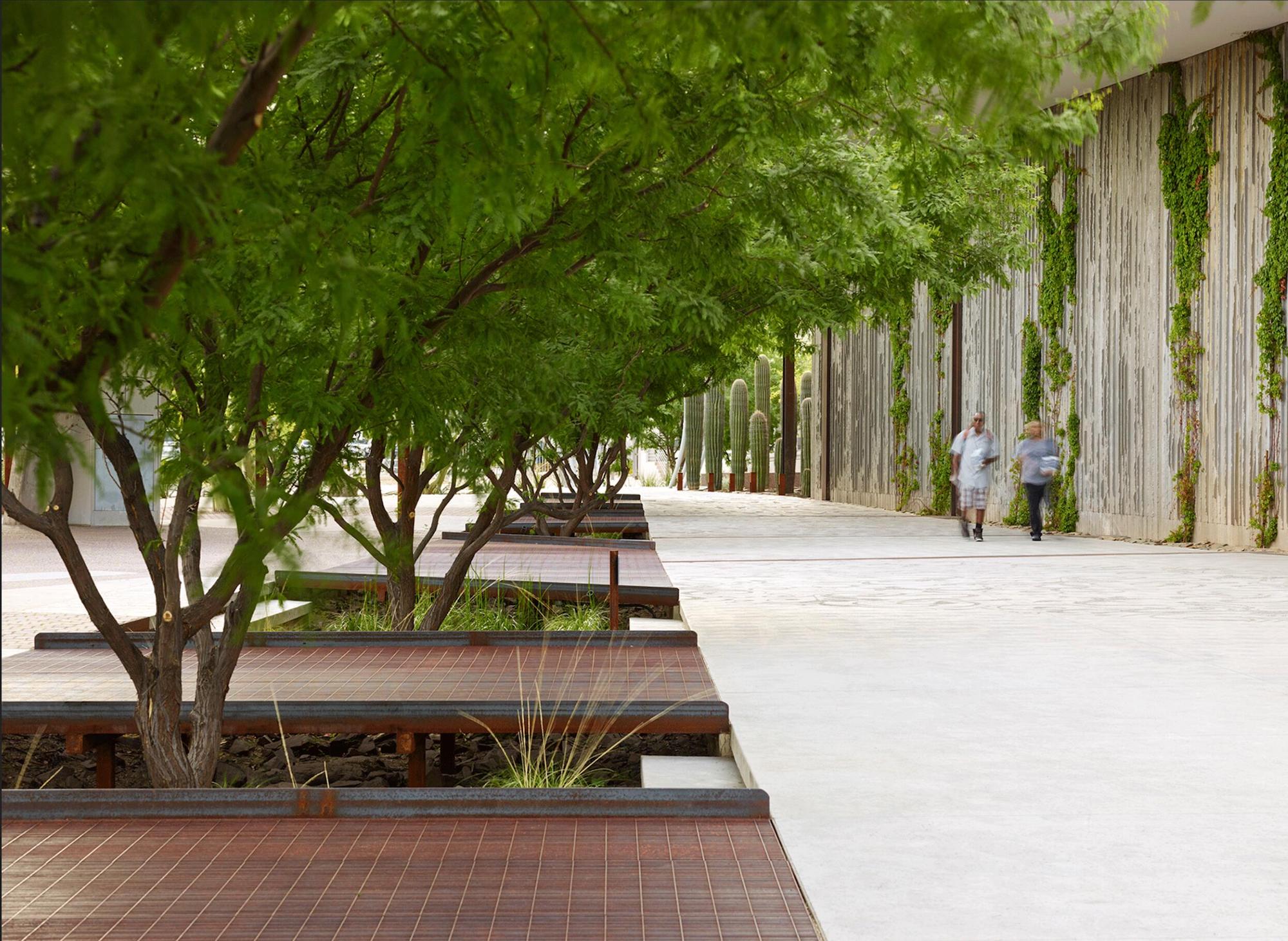 亚利桑那州斯科茨代尔西方博物馆 · 沙漠景观中的绿色创新-12