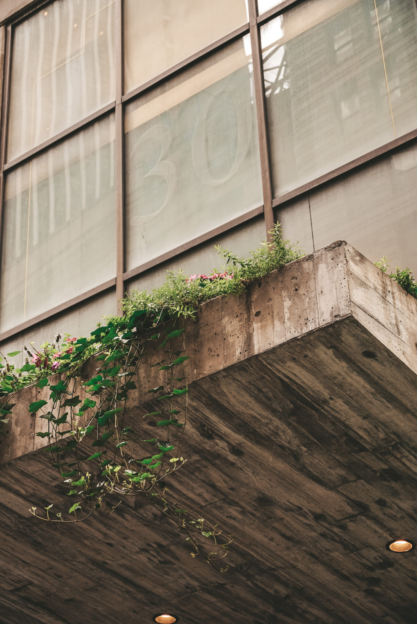 Local snapshot - New York | Woods Bagot-4