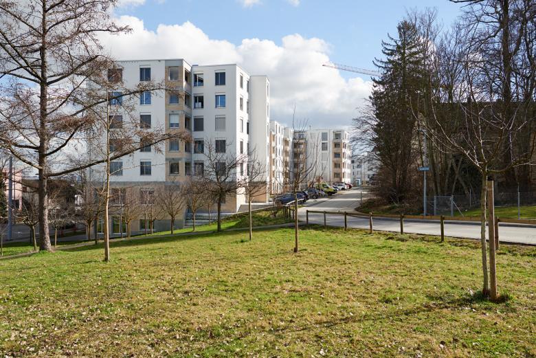 Wohnsiedlung Obsthaldenstrasse 住宅项目丨瑞士苏黎世丨Schneider Studer Primas-30