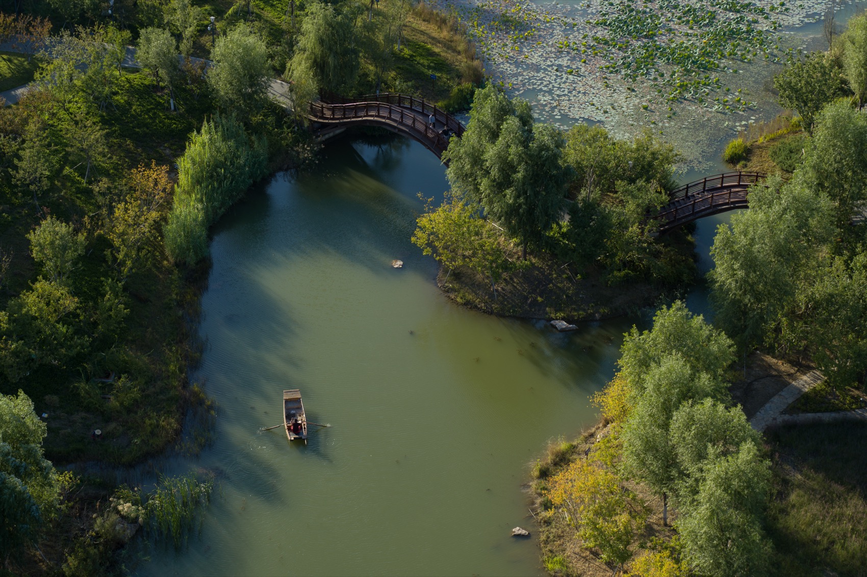 雄安新区悦容公园桃花园丨北京林业大学园林学院,北京多义景观规划设计事务所-39
