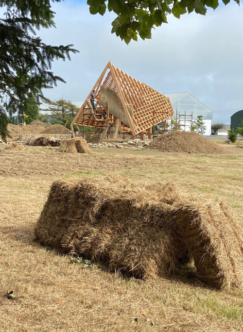 丨爱尔兰科克-31