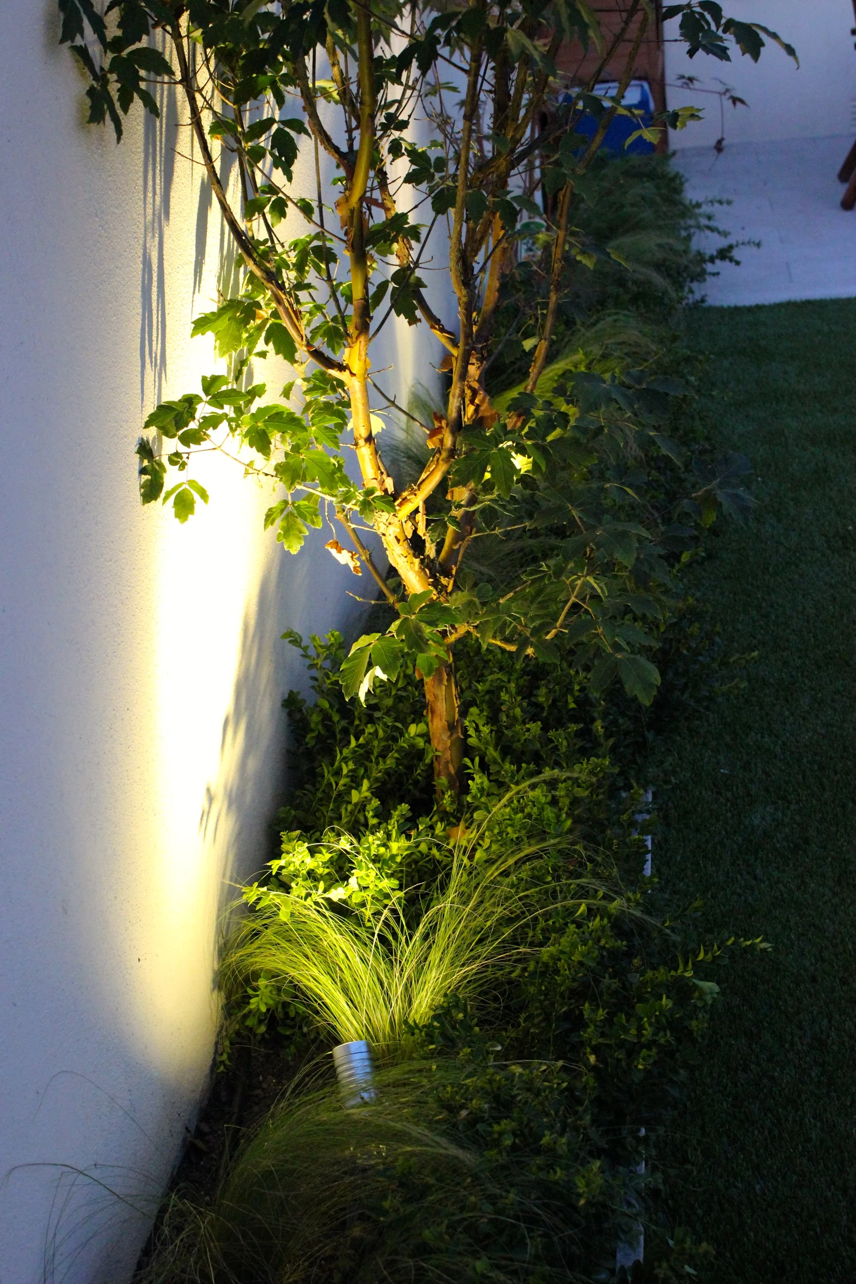 Templeogue Turf住宅后花园景观设计丨爱尔兰都柏林-102