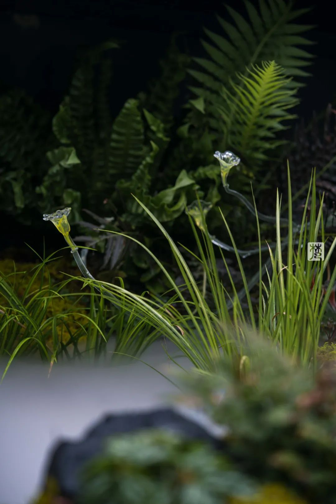 麓湖 B2 黑鉐样板岛丨中国成都丨乐道景观-106