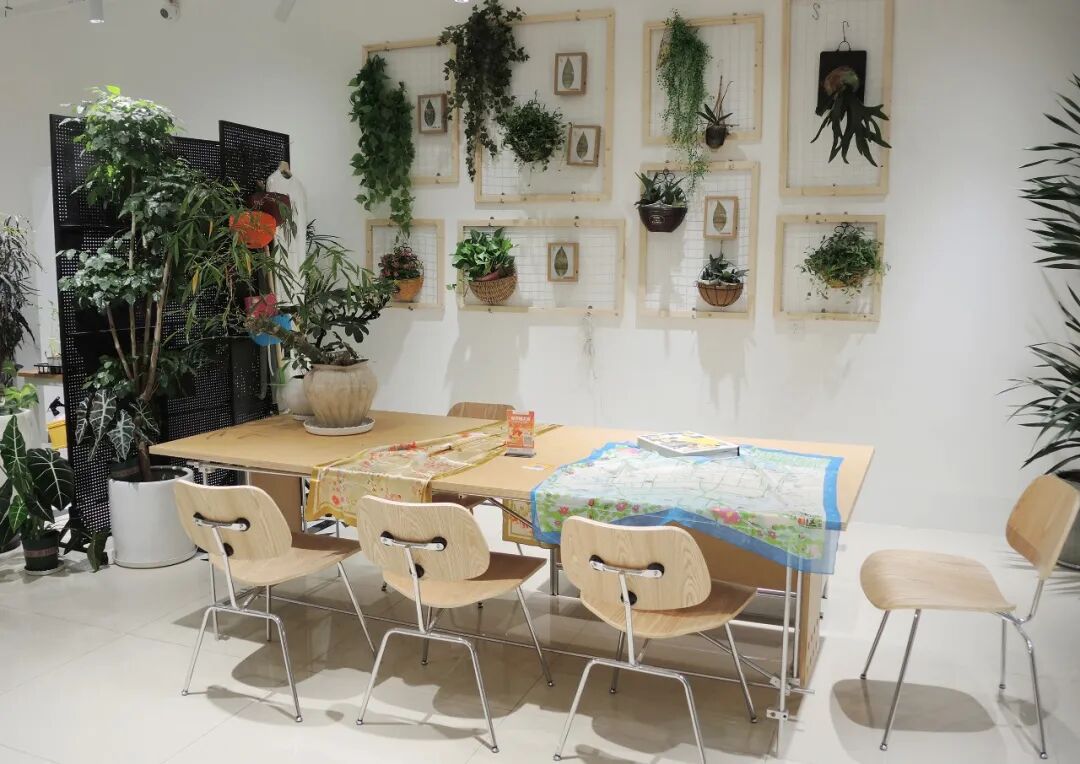 大众网满月回访泉民园艺中心领航店-87