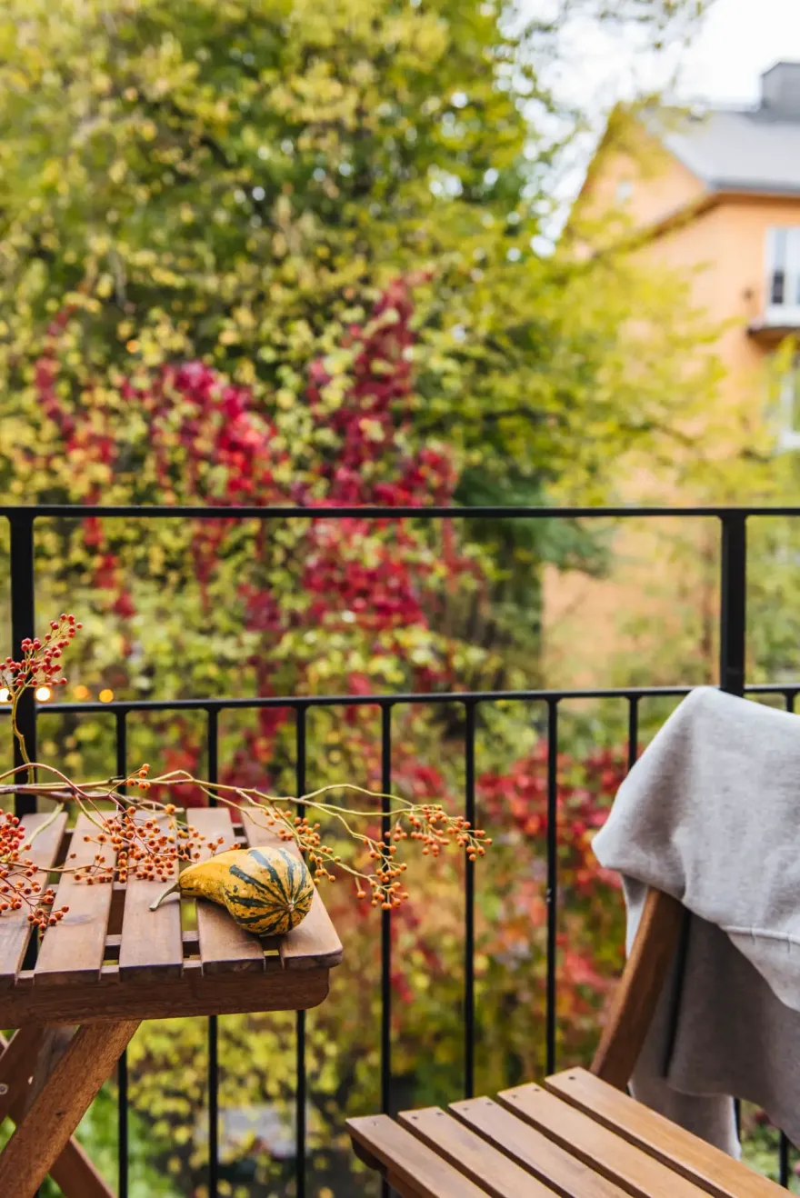 周末家居设计灵感 | 北欧风格与绿色植物的完美结合-10