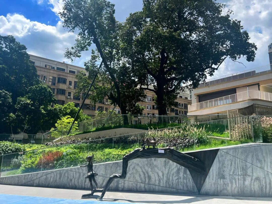 古树保护留住百年乡愁，城市更新提升人居品质丨建证幸福民生⑦-8