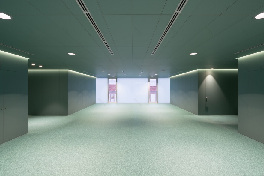 Allergology Department - Hospital of Navarre / GVG Estudio-17