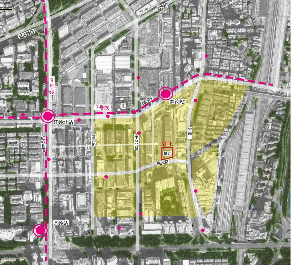 深圳桃园小学 | 高楼林立下的“城市绿洲”-9