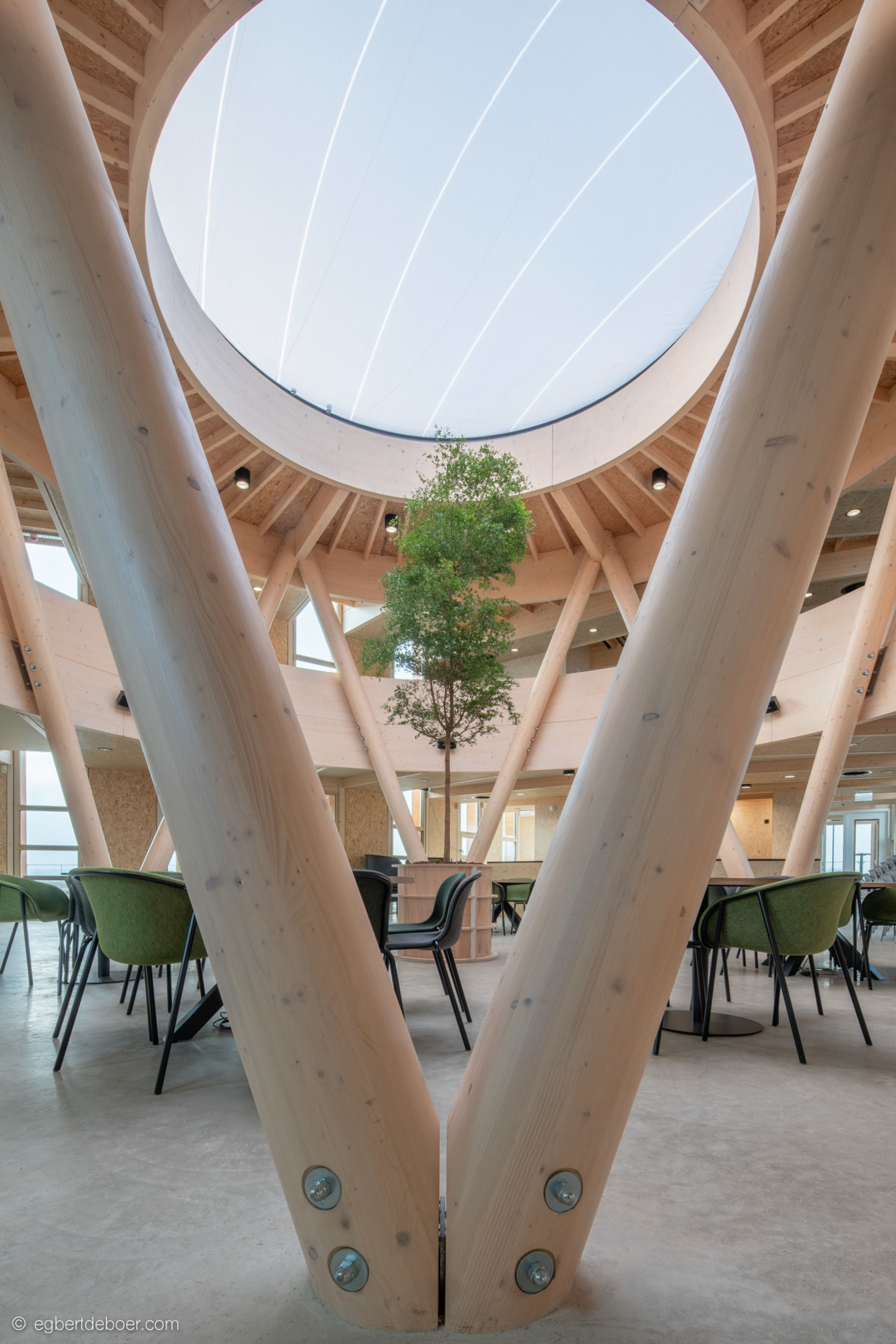 生物合成中心（注：由于Het Biosintrum可能是特定机构、场所等名称，这里Biosintrum推测是生物合成相关含义加上后缀构成的词，具体准确含义可能需结合更多背景信息确定 ） 丨Paul de Ruiter Architects-11