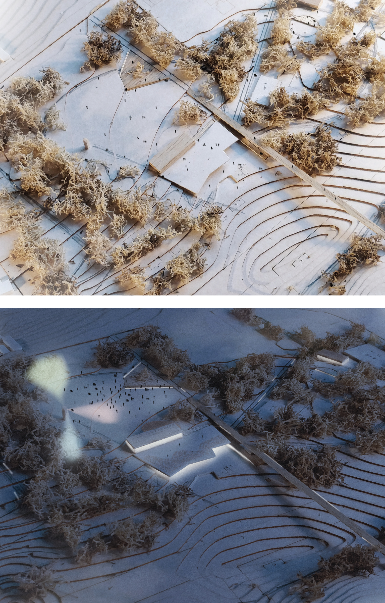 The Glade · 都市公园与文化中心-16