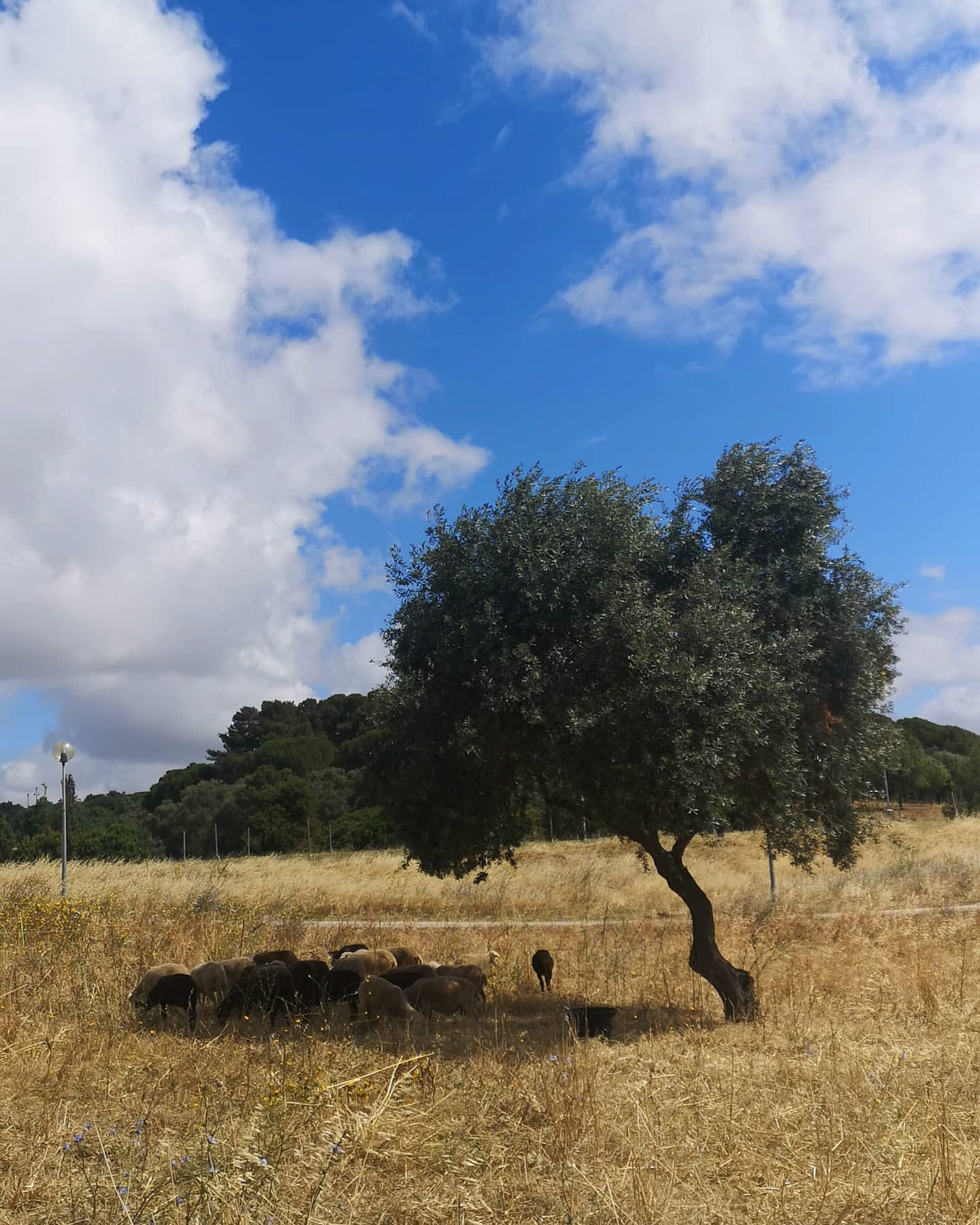 穿越内心王国之旅-40