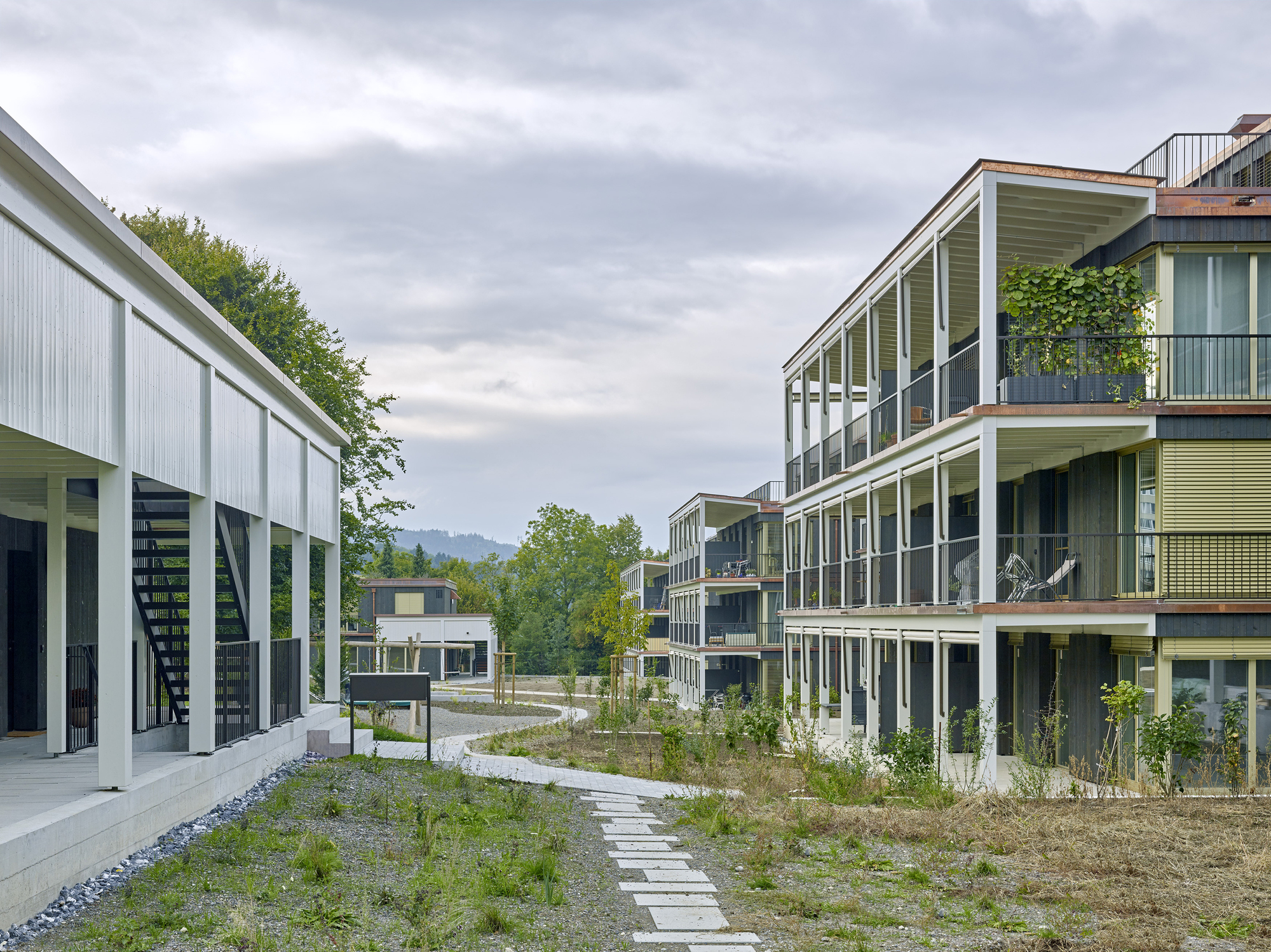 Am Chatzebach 住房开发项目丨瑞士-32