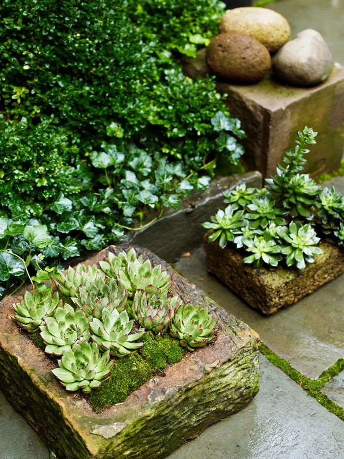 20个迷你花园设计丨多位设计师-53