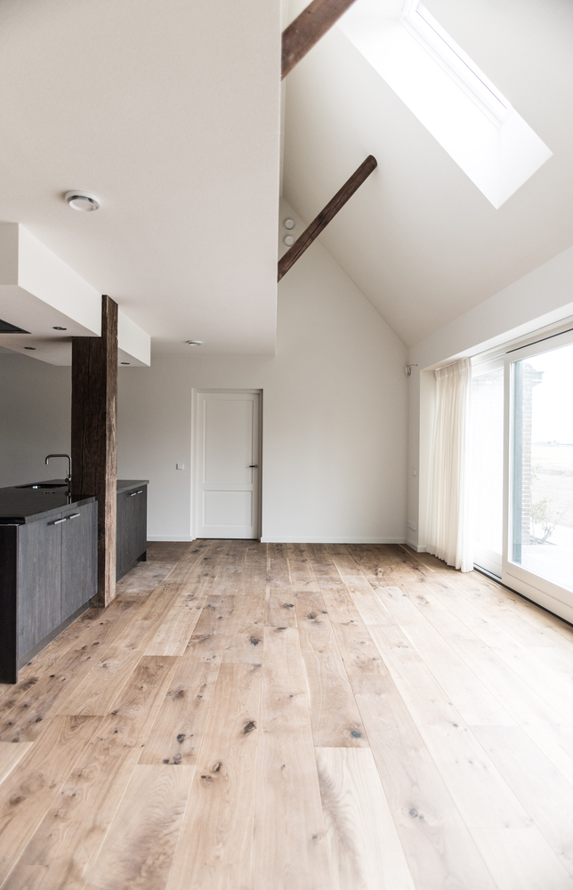 荷兰农舍的现代改造-23