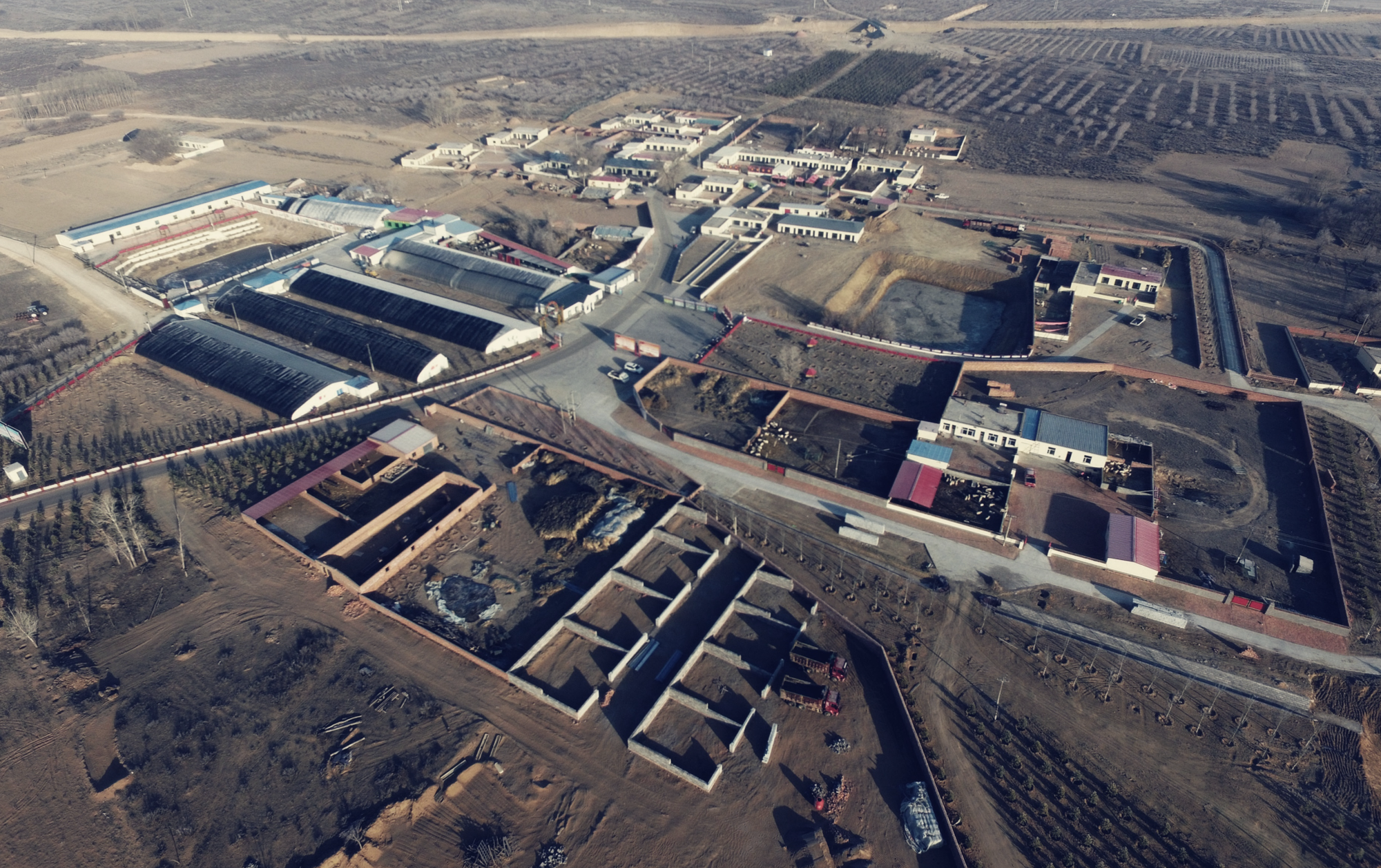 鄂尔多斯市折家梁村乡村建设丨蒙古丨CADG-9