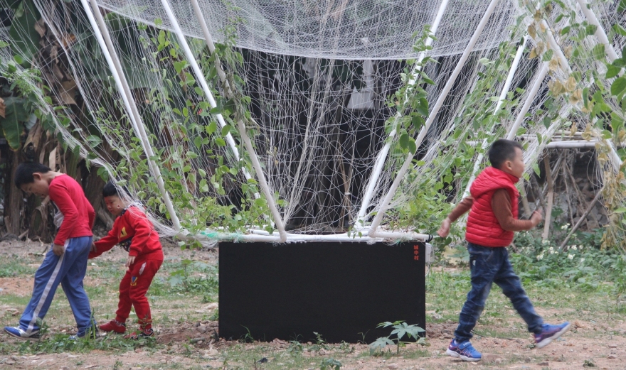 深圳天际农场 · 农民智慧融入城市更新-28