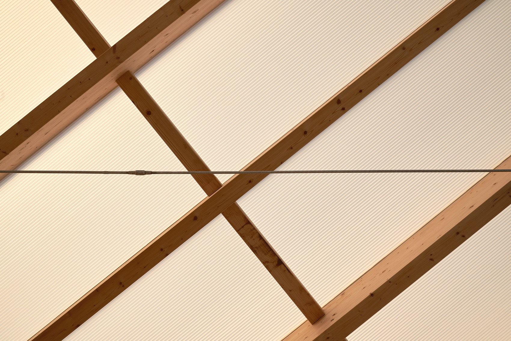 有玻璃温室的住宅丨德国柏林丨Sigurd Larsen-87