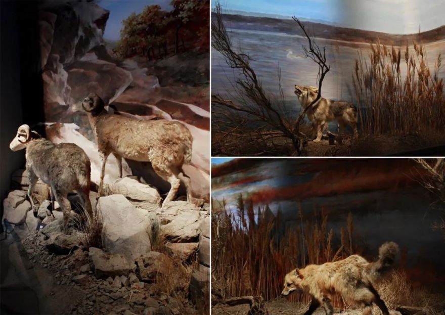 瑞普照明打造阿拉山口中心城市展馆,呈现西部口岸风采-24