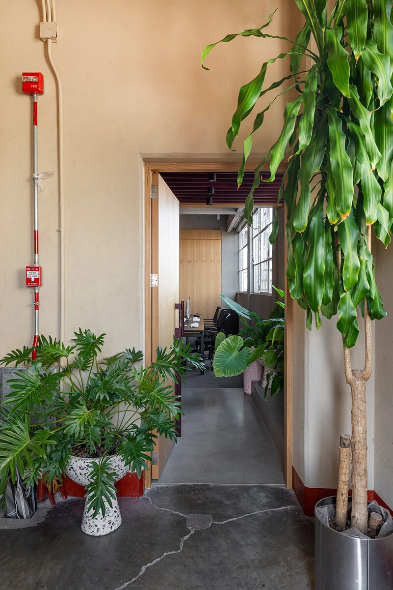 墨西哥城繁忙大道上的空中办公室改造-58