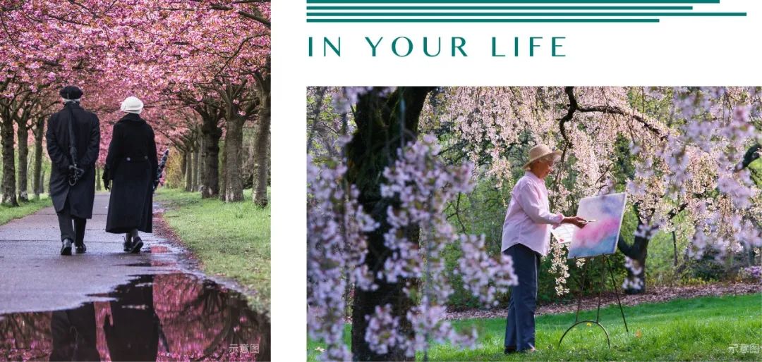 灵感8映 | 感映生活之美，让温暖融入归心社区（上）-101