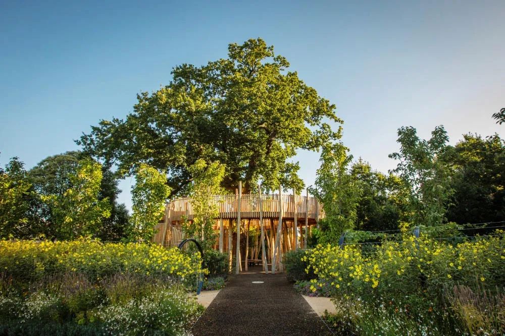 英国皇家植物园儿童花园丨Suzie Jewell-15