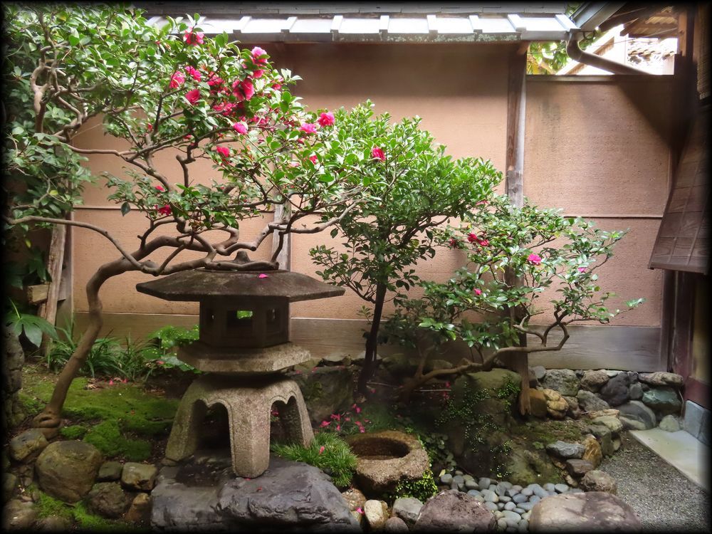 近為京都本店丨日本京都-26