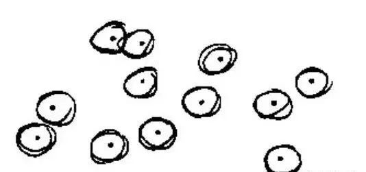 跟着大师西蒙兹学种植设计 | 景观设计师的终生目标和工作-107