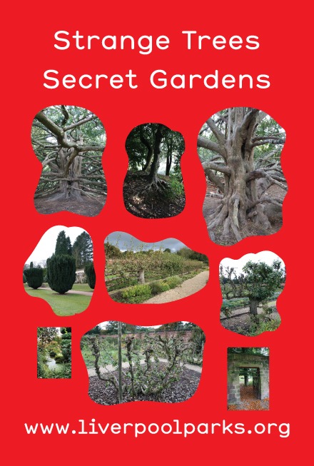 利物浦公园项目丨英国利物浦-3