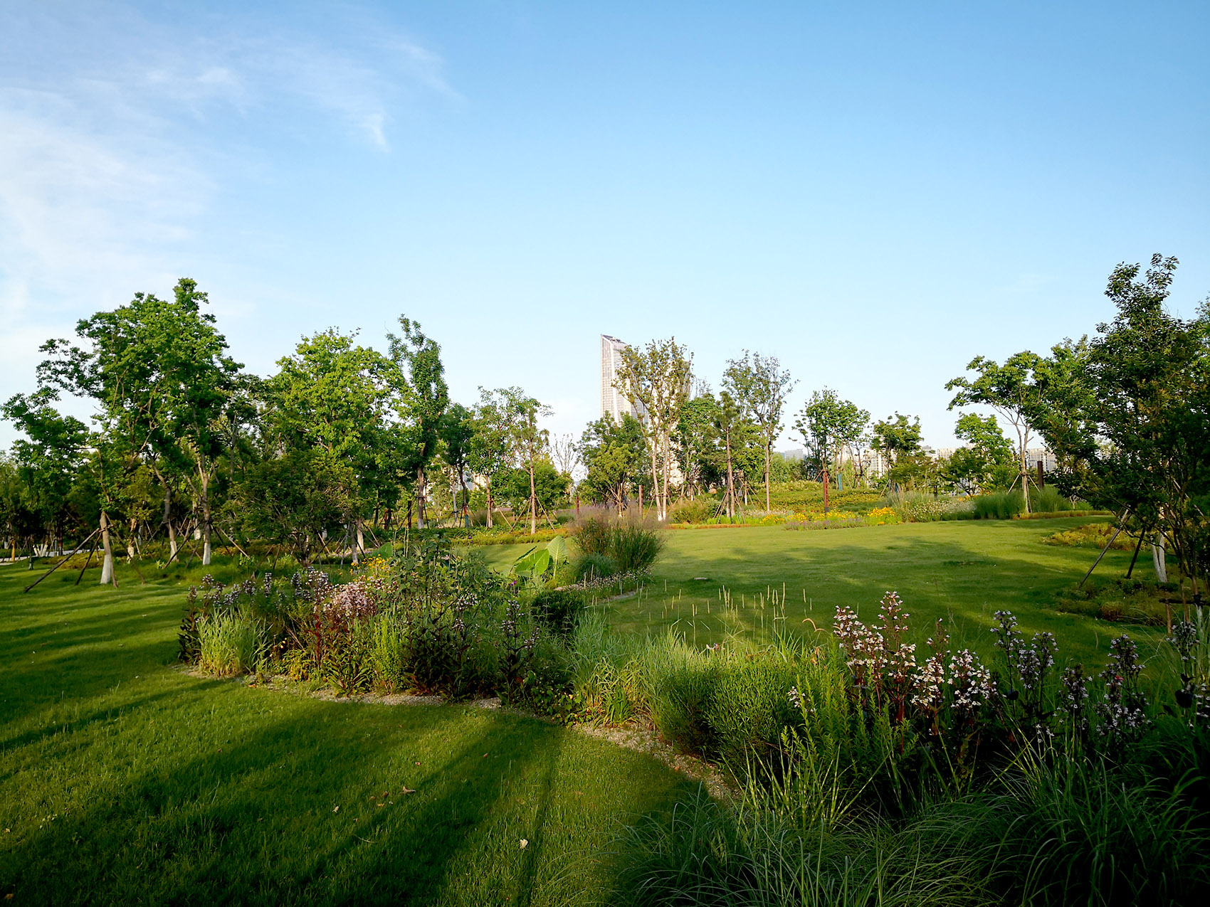 新加坡·南京生态科技岛-121