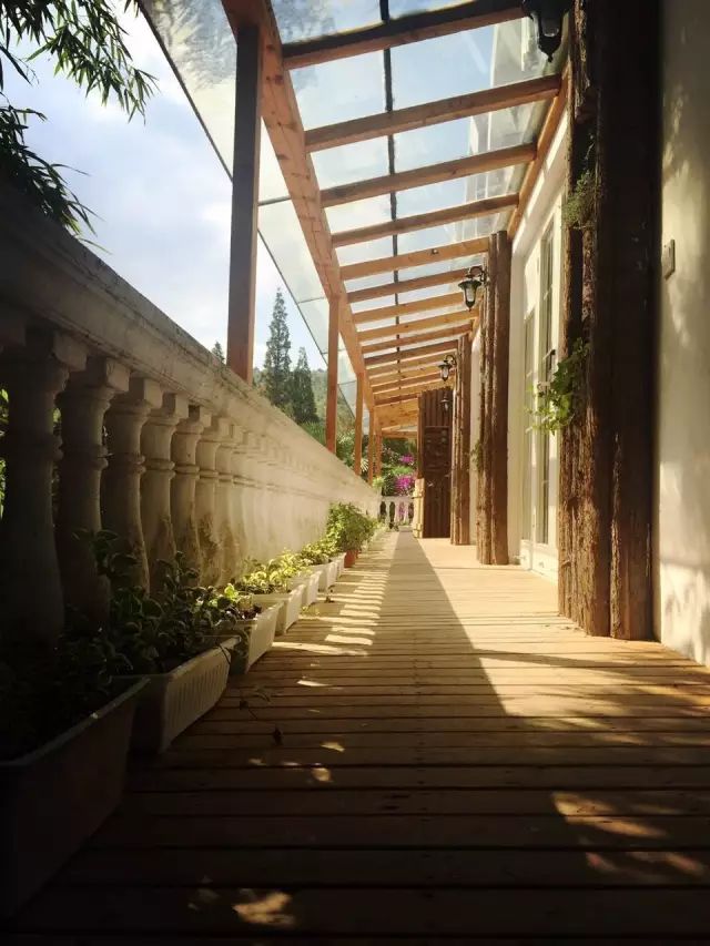 文艺大叔租下8亩林场，花16年种花养草，如今惊艳世人，连美国杂志都给他点赞-122