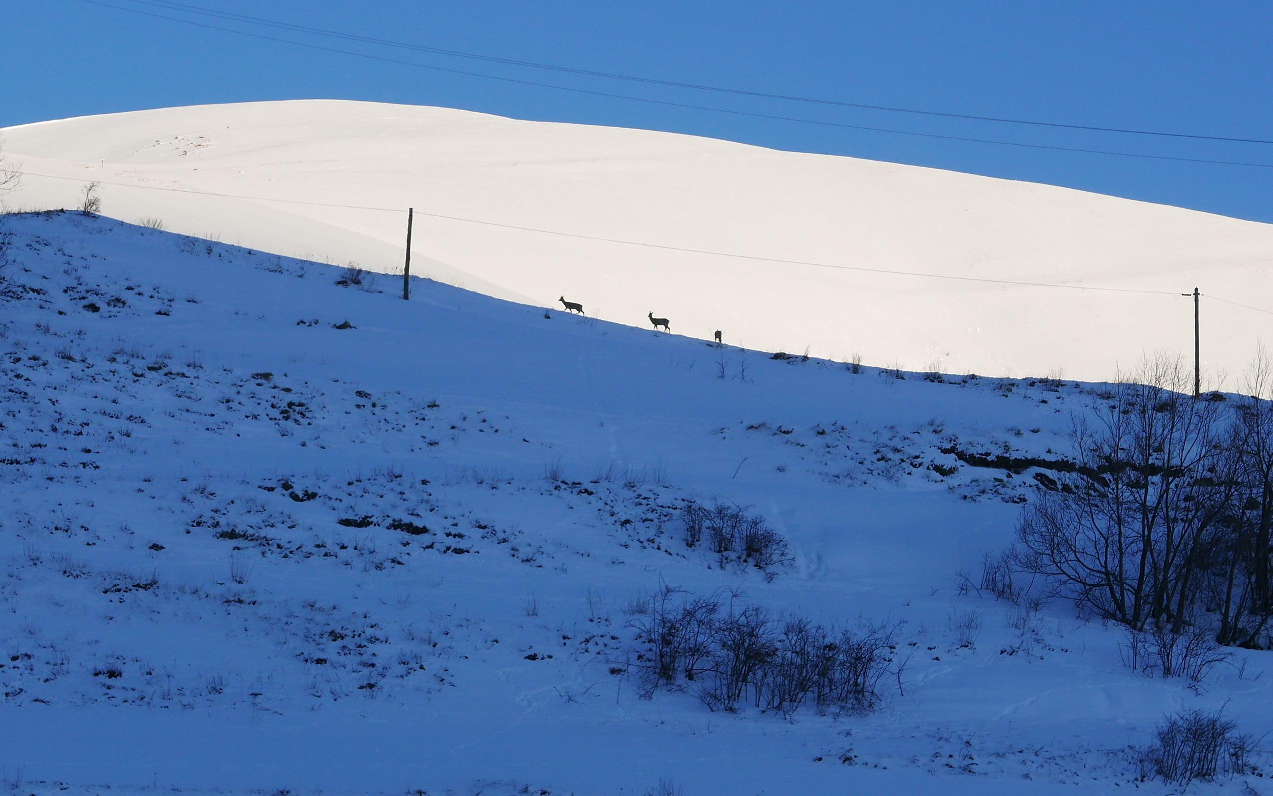 丨法国丨AID architecten-25