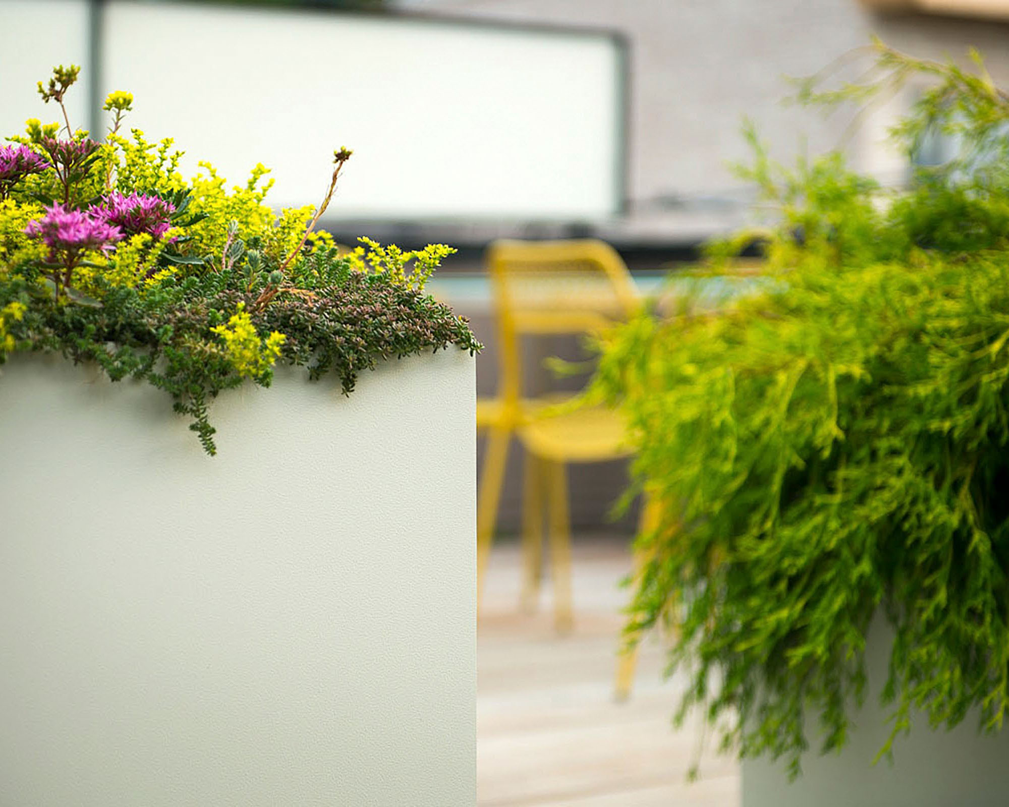 丨美国芝加哥-17