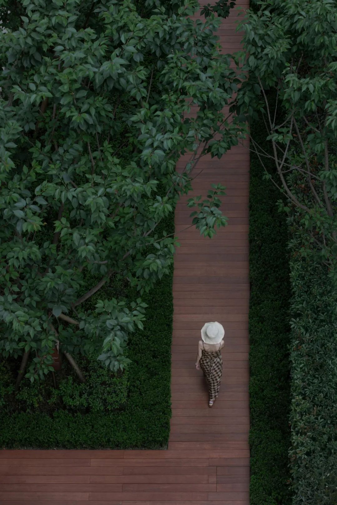 东原·印长江大区丨中国成都-48