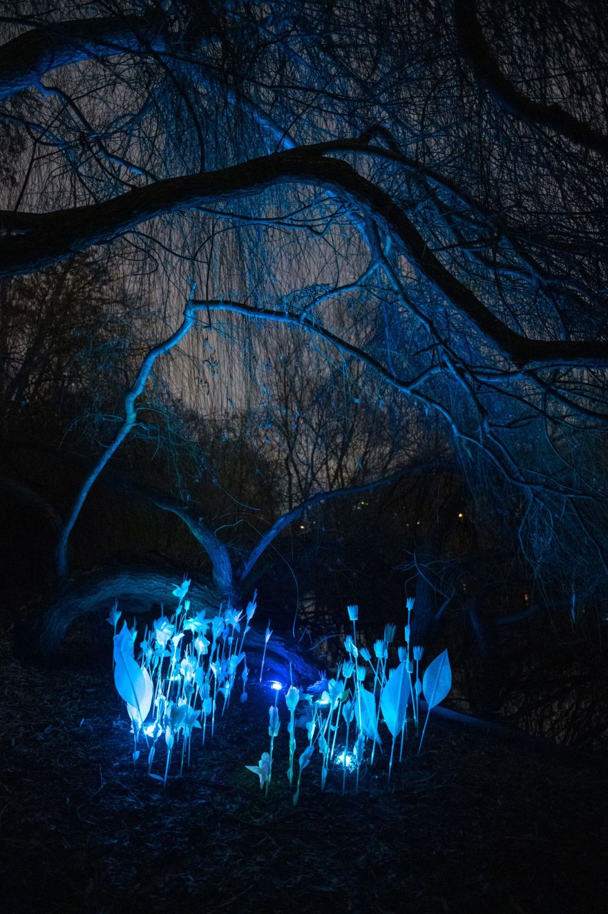 不可回收垃圾制成的植物装置-21