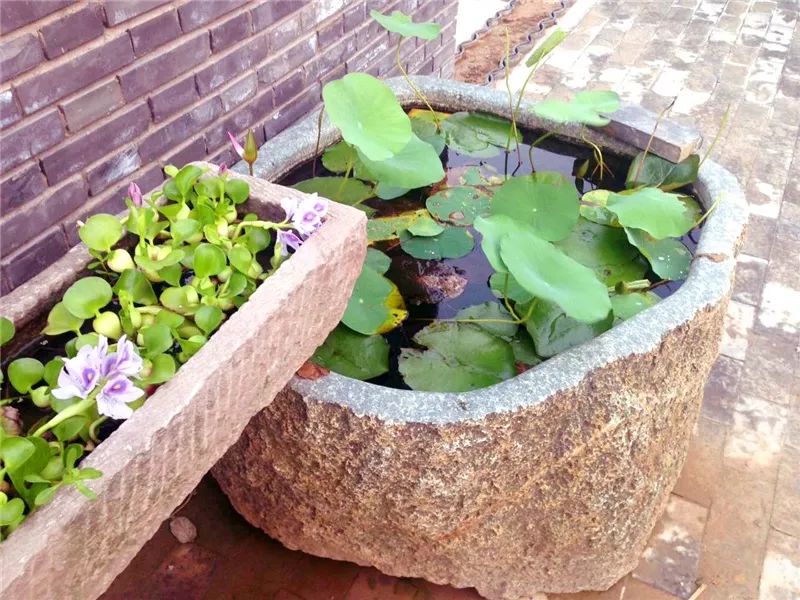 潮河湾大食堂-12