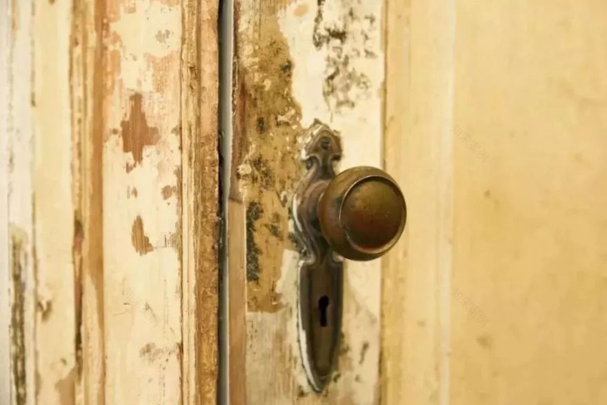 30 岁女子独居上海老洋房,中古家具打造 70㎡复古空间-66