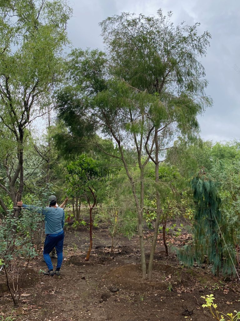葉山の住宅/House in Hayama丨日本神奈川丨hm + architects一级建筑士事务所-8