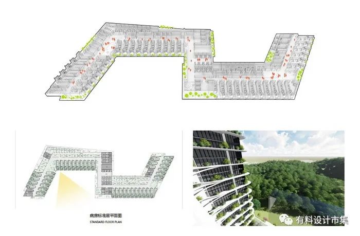 深圳市唯一的肿瘤专科医院-64