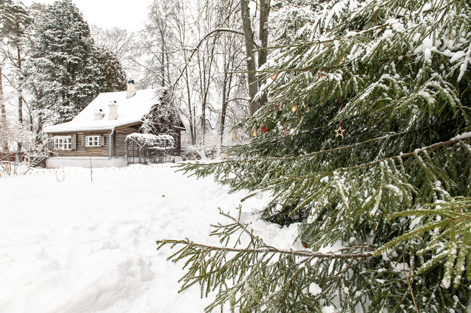 “Доме Ракицкого”（拉基茨基之家）项目丨俄罗斯丨Женя Жданова（珍娅·日丹诺娃）,景观工作室МОХ-4