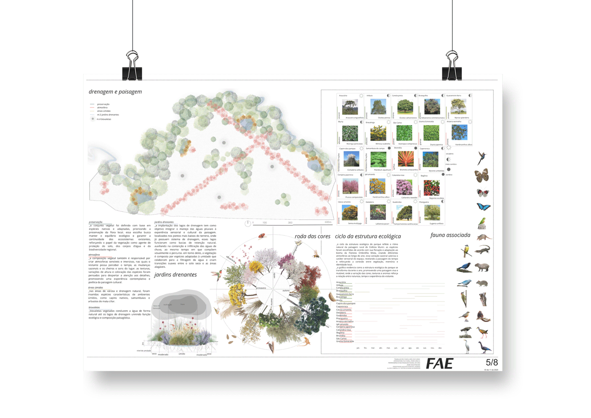 TCC | ATMOSFERA CULTURAL-21