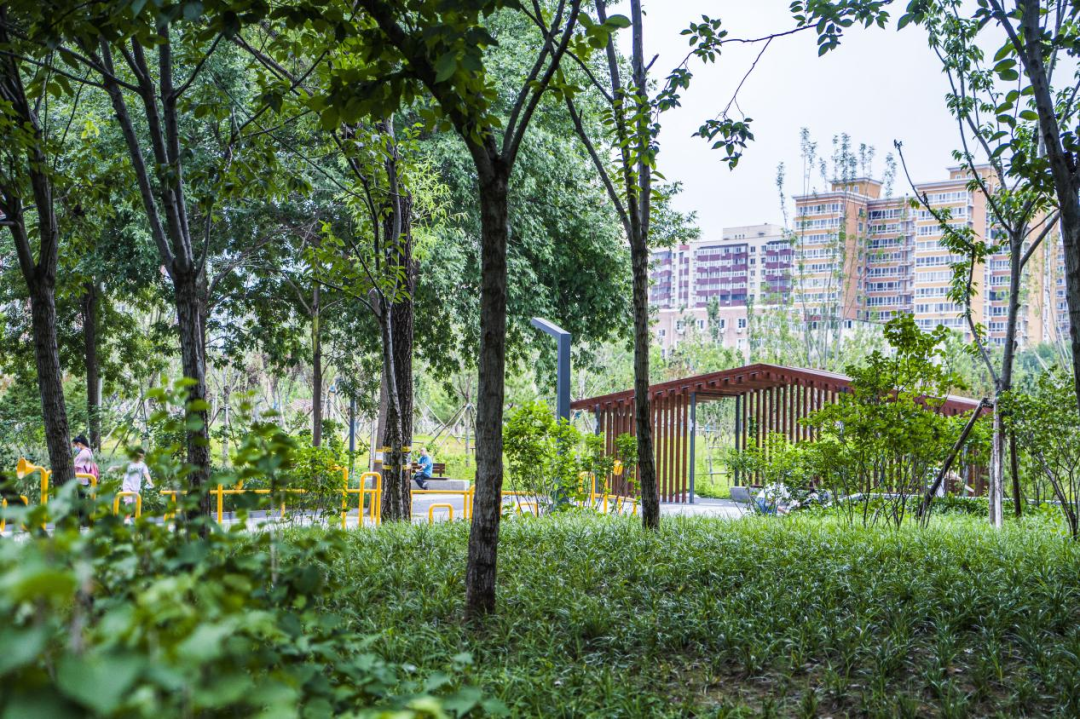 海淀祁家豁子公园·全龄友好型城市绿洲丨中国北京丨北林地景-64