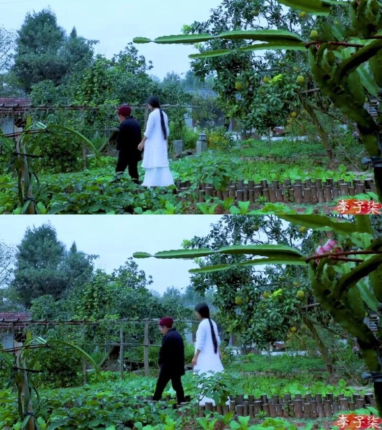 李子柒家居搭配揭秘 | 世外桃源的创意设计-41