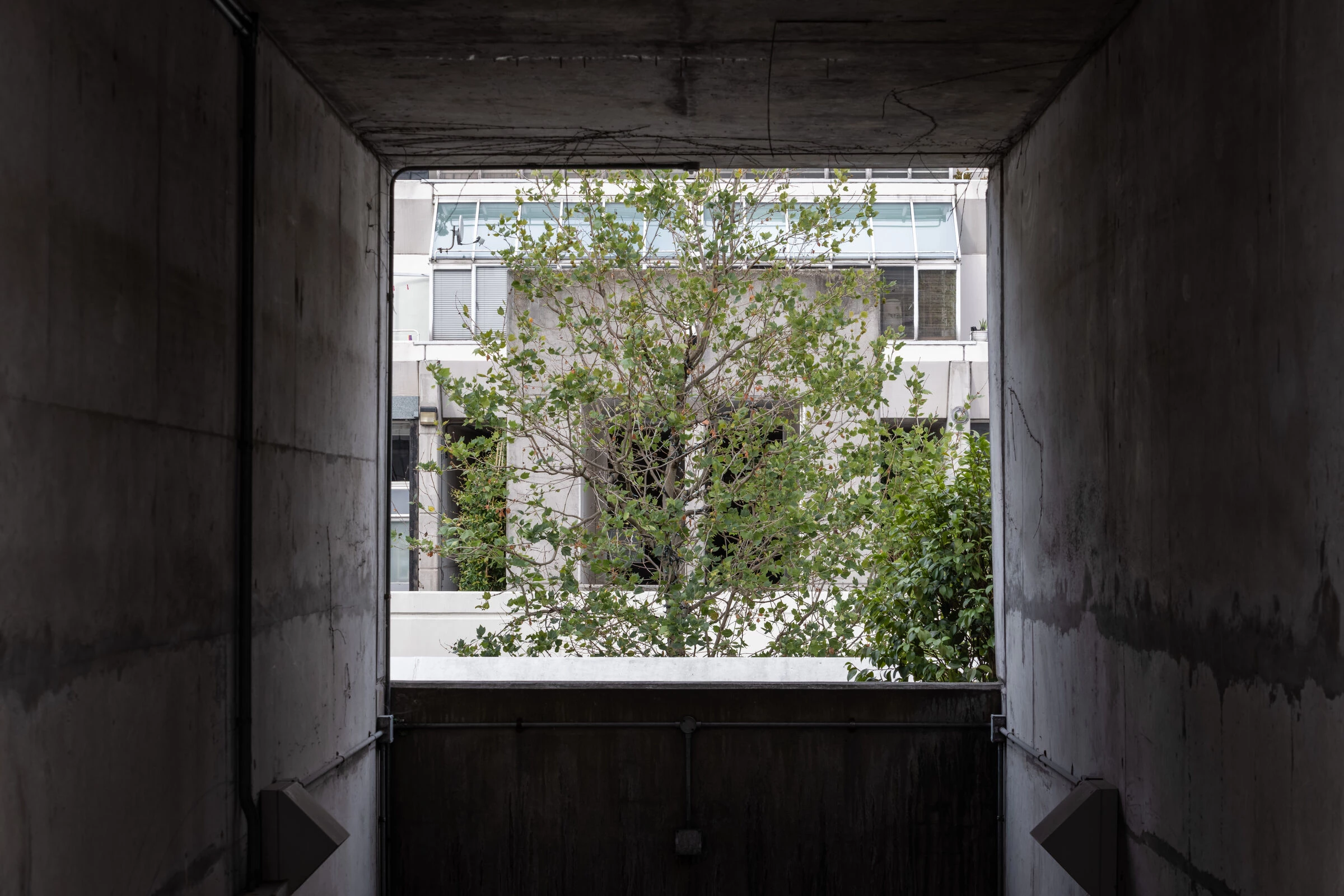 伦敦的布伦斯威克中心丨Patrick Hodgkinson-35