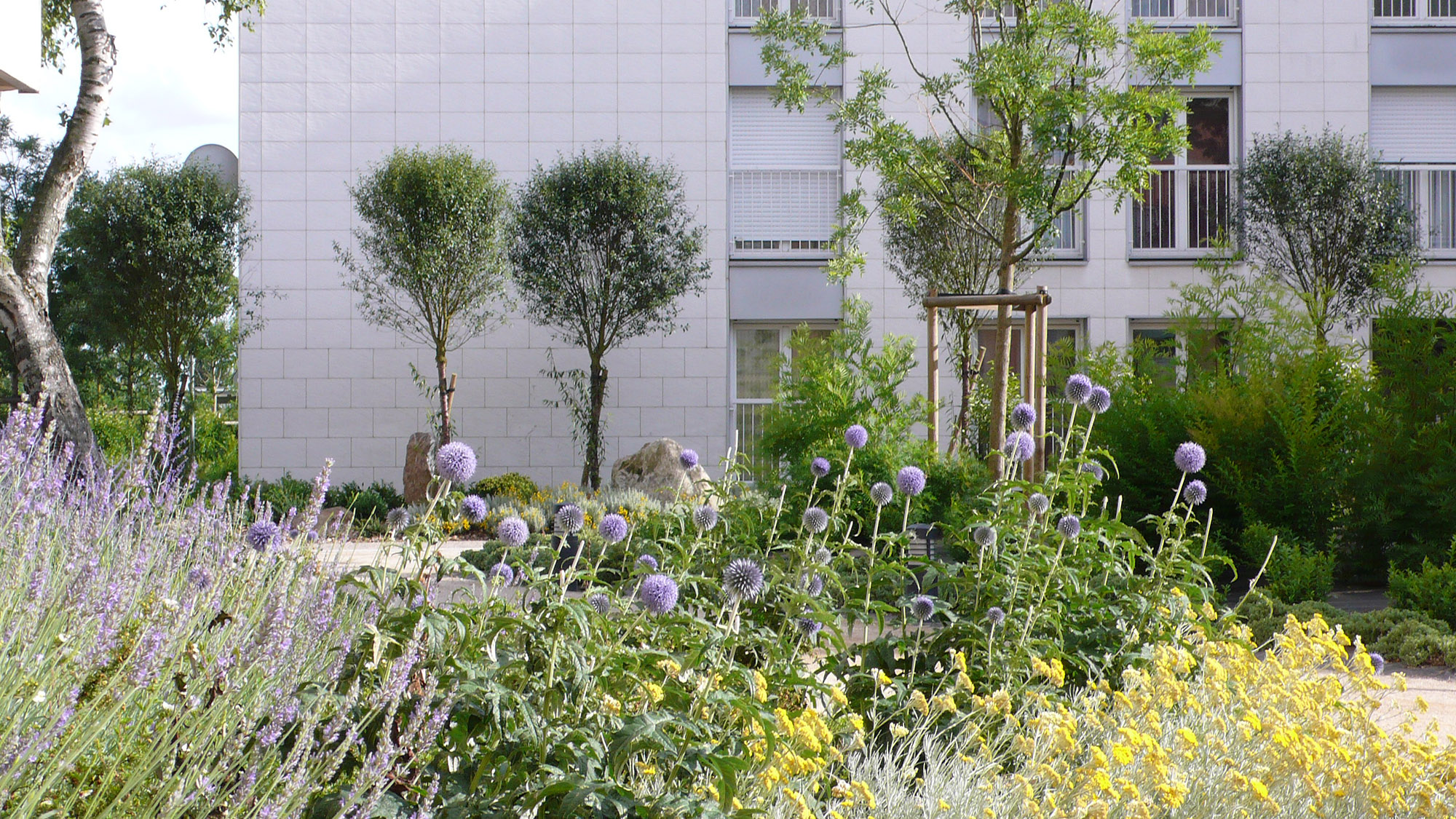 Quartier de la Madeleine - la résidentialisation - La Compagnie du Paysage-45