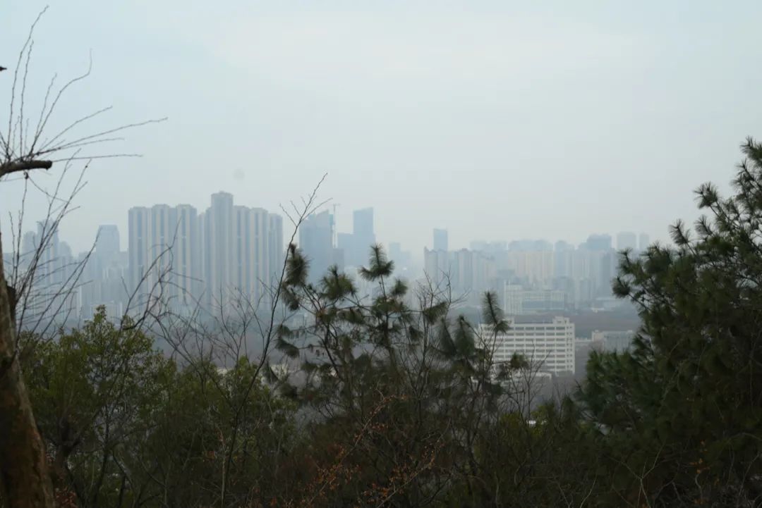 陈海峰  影像纪实 / 东湖之上-50