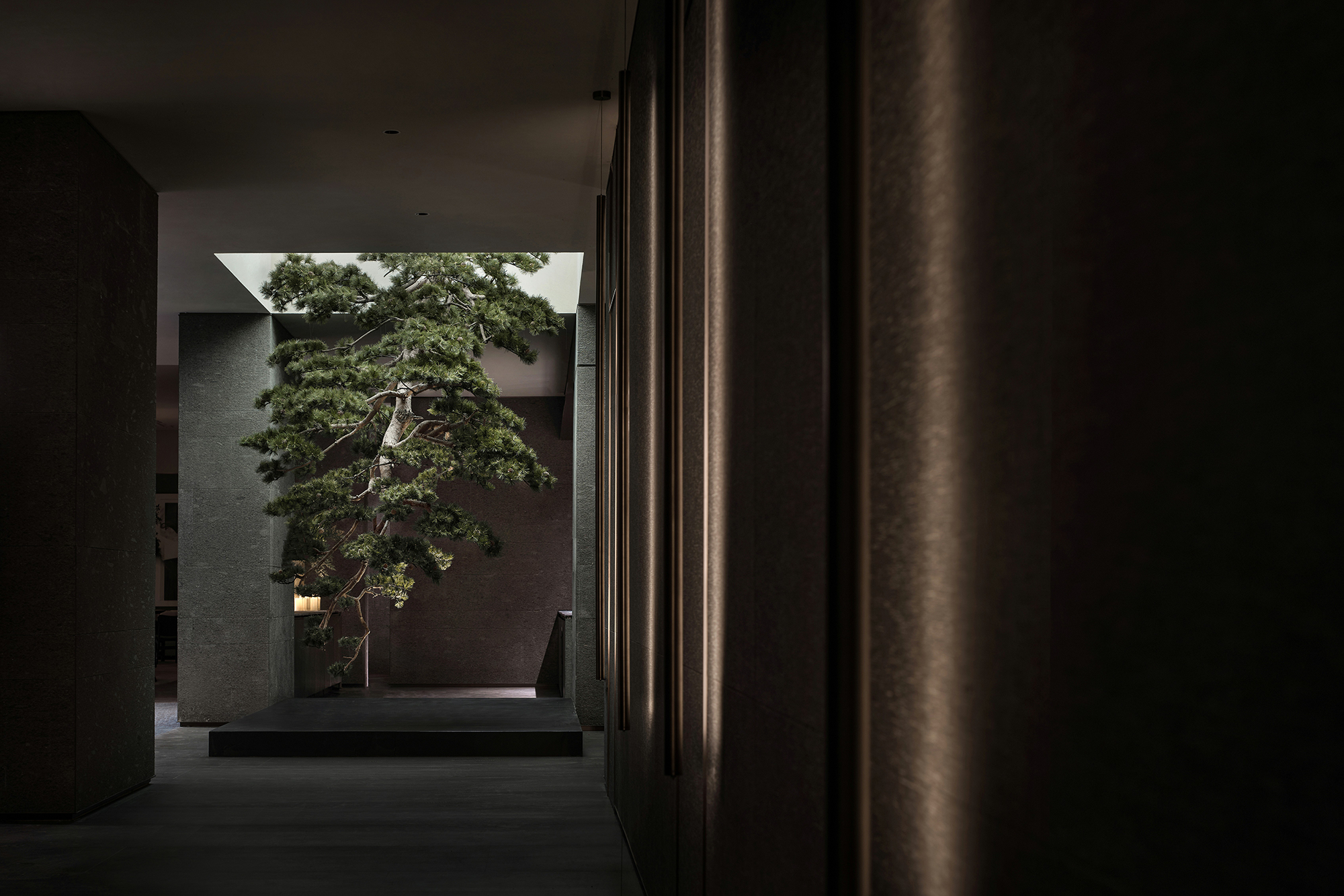 栖霞建设南京G35地块星叶半山玥府丨中国南京丨上海飞视设计-62